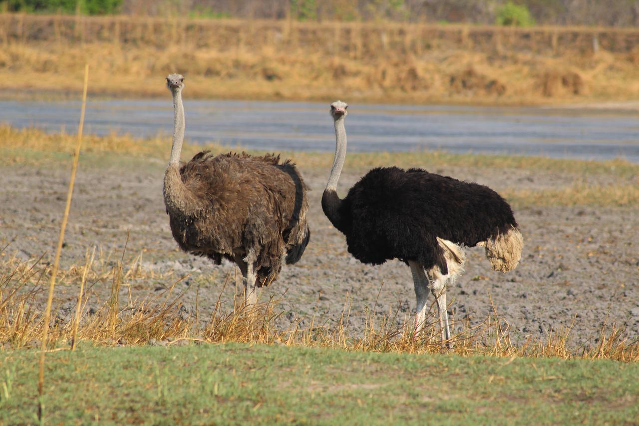 Chaminuka Lodge Lusaka Dış mekan fotoğraf