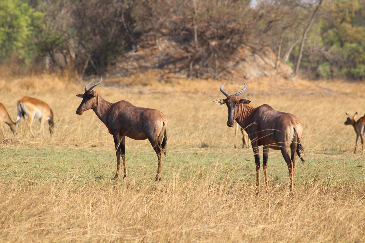 Chaminuka Lodge Lusaka Dış mekan fotoğraf