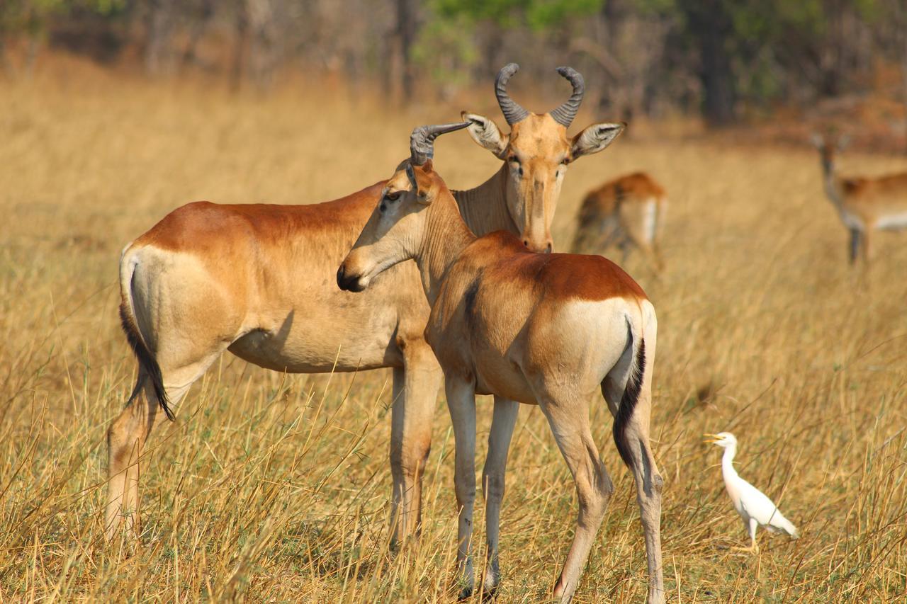 Chaminuka Lodge Lusaka Dış mekan fotoğraf