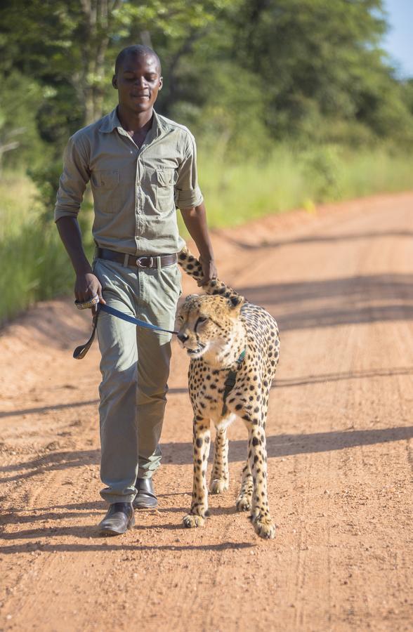 Chaminuka Lodge Lusaka Dış mekan fotoğraf