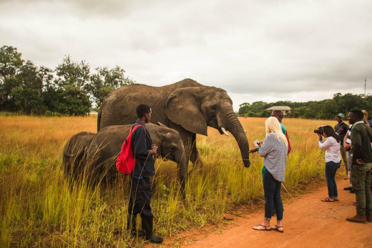 Chaminuka Lodge Lusaka Dış mekan fotoğraf