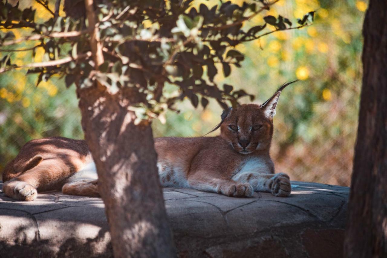 Chaminuka Lodge Lusaka Dış mekan fotoğraf