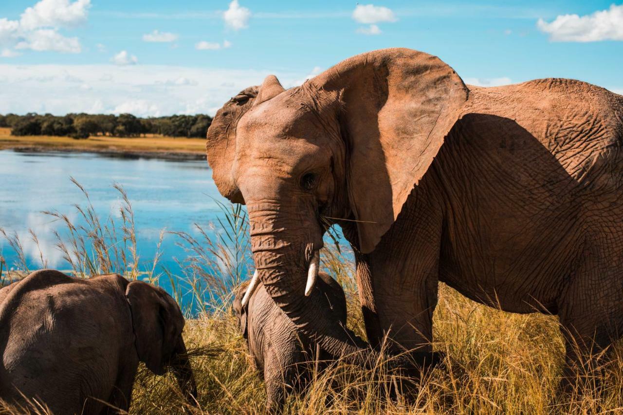 Chaminuka Lodge Lusaka Dış mekan fotoğraf